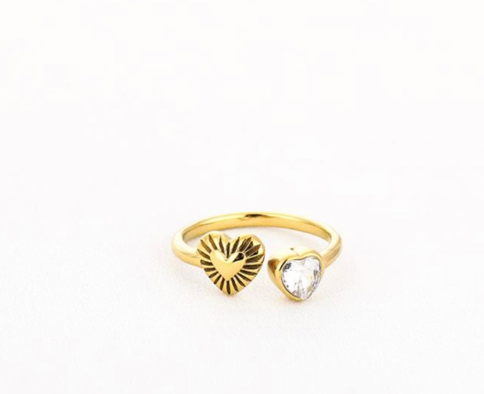 Ring Suus