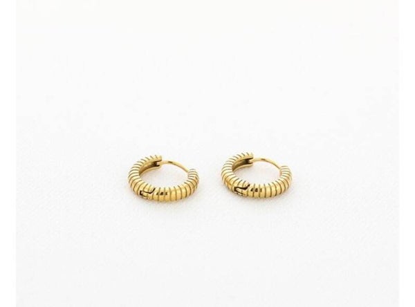 Oorbellen basic