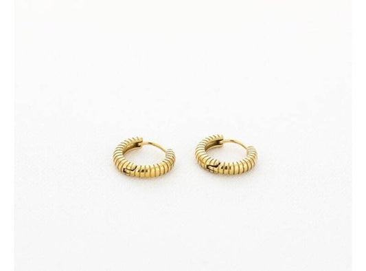 Oorbellen basic
